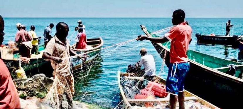 Featured image for Exporters of immature fish are enemies of Africa - Museveni