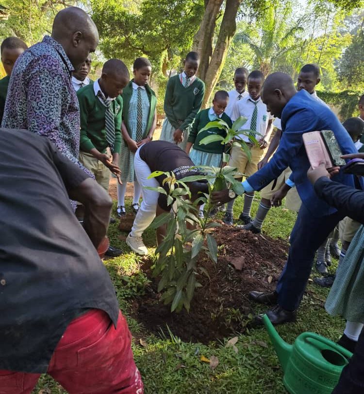 Featured image for Sheraton plants trees, adds face to World Earth Day