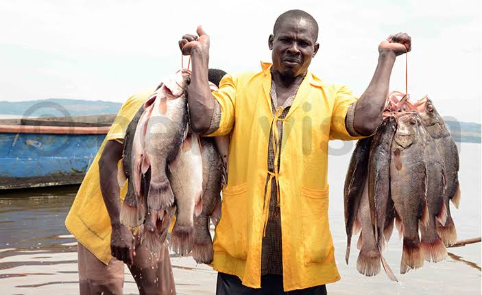 Featured image for Gov't urged to enforce fisheries law as killings persist in fishing areas