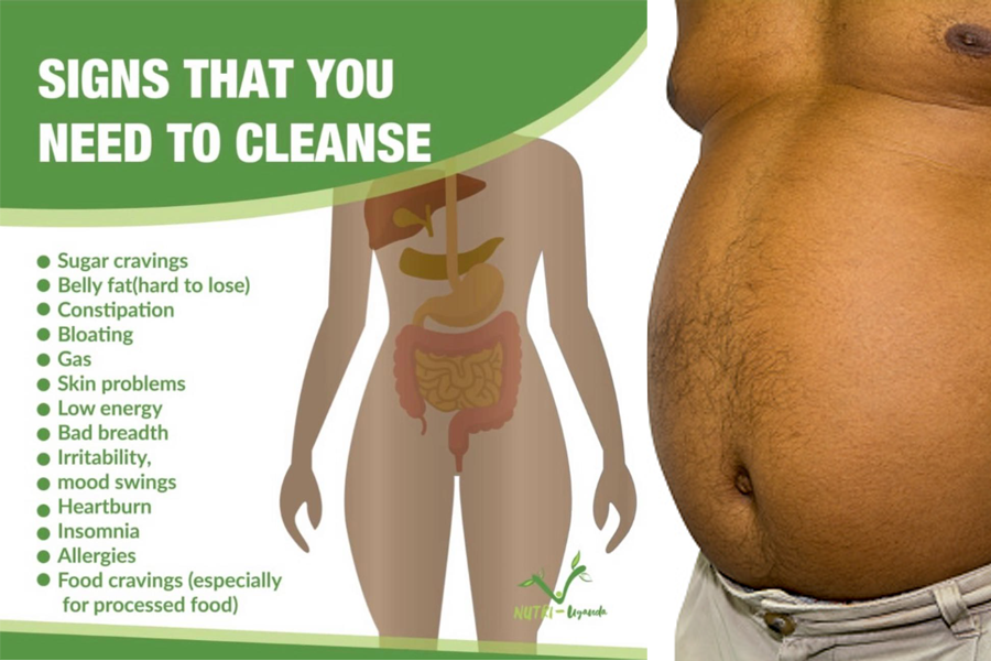 Featured image for Why do you have belly fat?