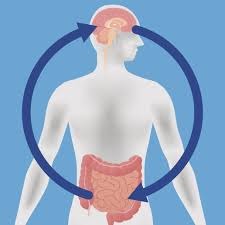 Featured image for The gut-brain connection: how Your stomach reveals your mental State