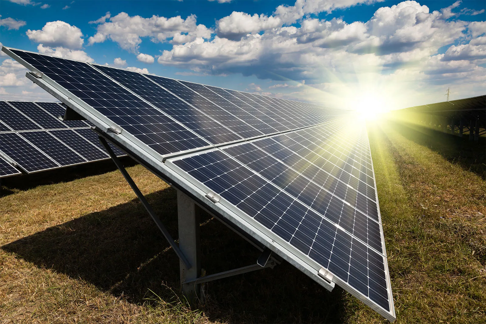 Featured image for Two Arrested Over Vandalism, Theft of Community Solar Panels