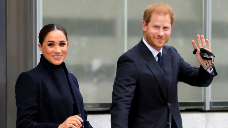 Prince Harry's downgraded security was unjustified, court hears