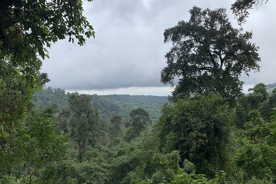 Featured image for Mount Elgon: A Complex Struggle Between Conservation and Community