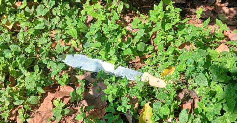 Featured image for Masaka residents in panic over mysterious machetes dumped in area