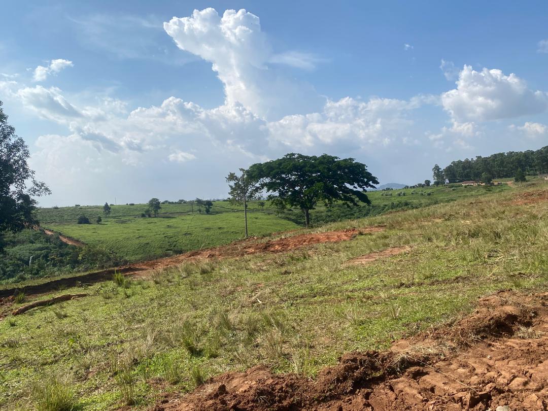 Featured image for Financial experts decry high land taxes, citing hurdles in acquisition process