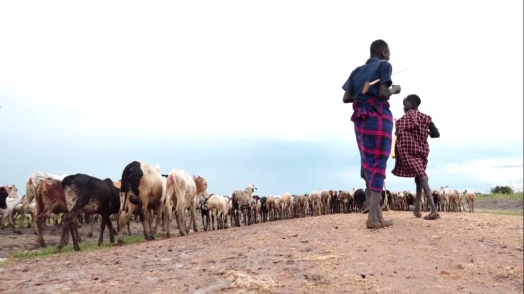 Featured image for Kotido Leaders Warn of Mass Migration as Drought Worsens
