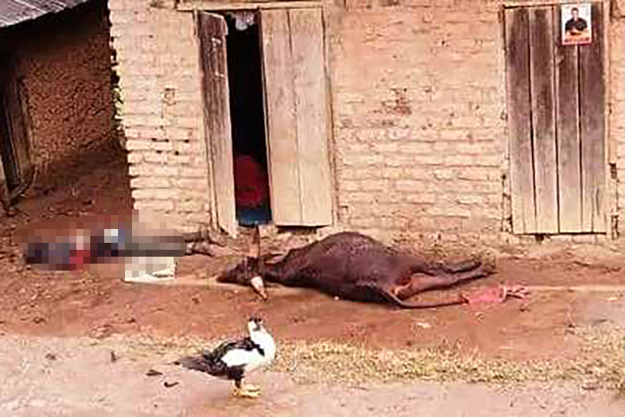 Featured image for Lightning Strike Kills Resident and Livestock in Rakai