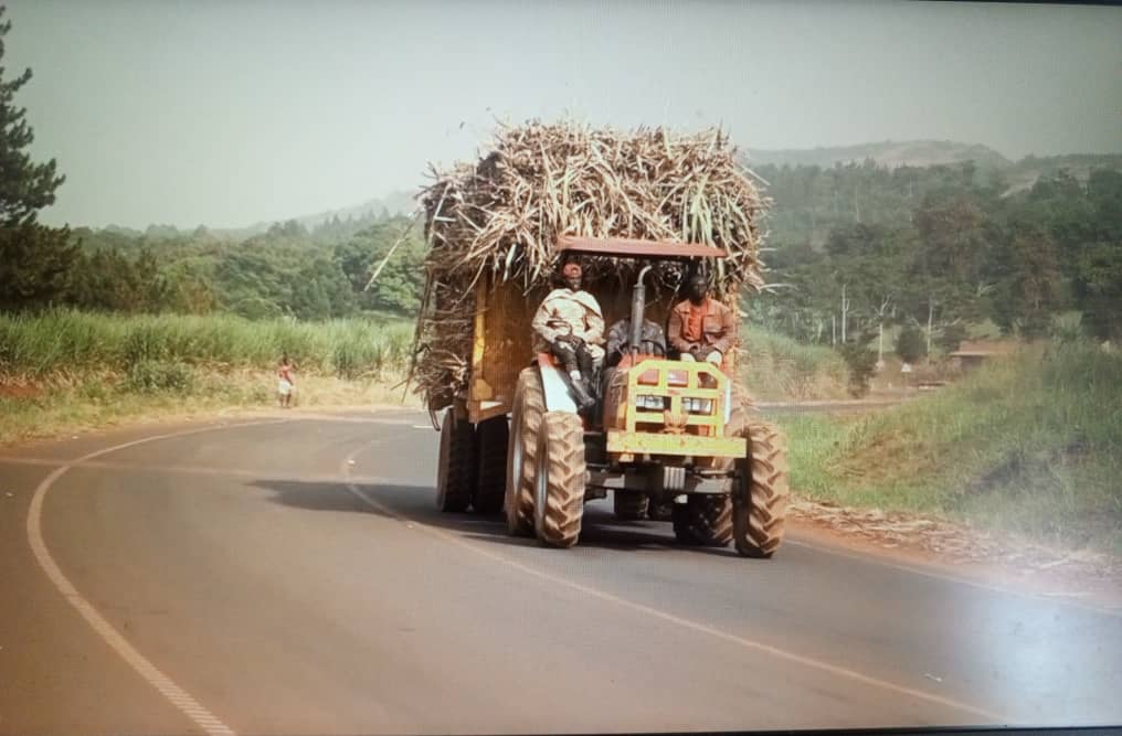 Featured image for Nabbanja Orders Withdrawal of Police from Masindi Weighbridges