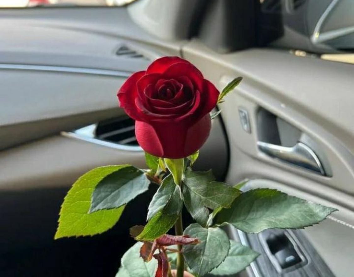 Valentine’s Eve: Lovebirds Gear Up for More Than Romance