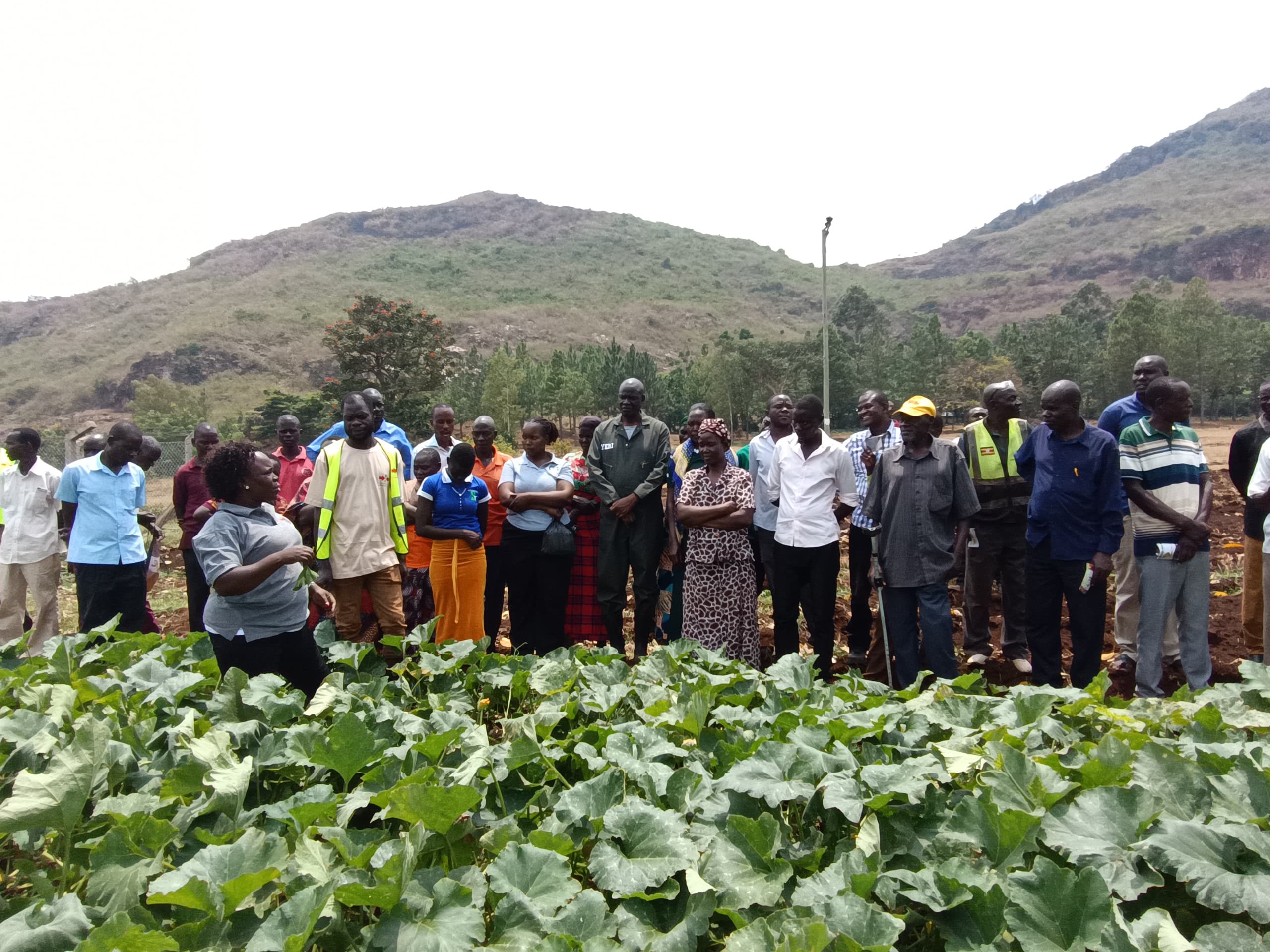 Featured image for Eastern Uganda farmers urged to embrace climate-smart agriculture