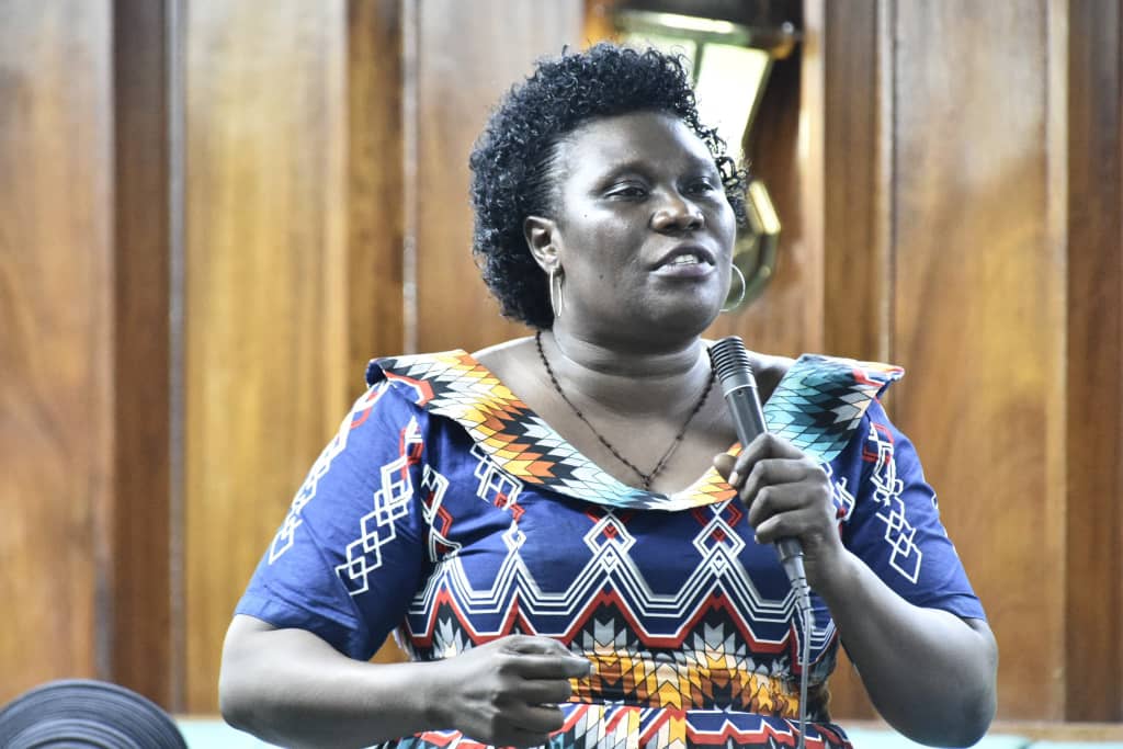 MP Rose Obigah Decries Election Tensions: “Why Make It Look Like War?”