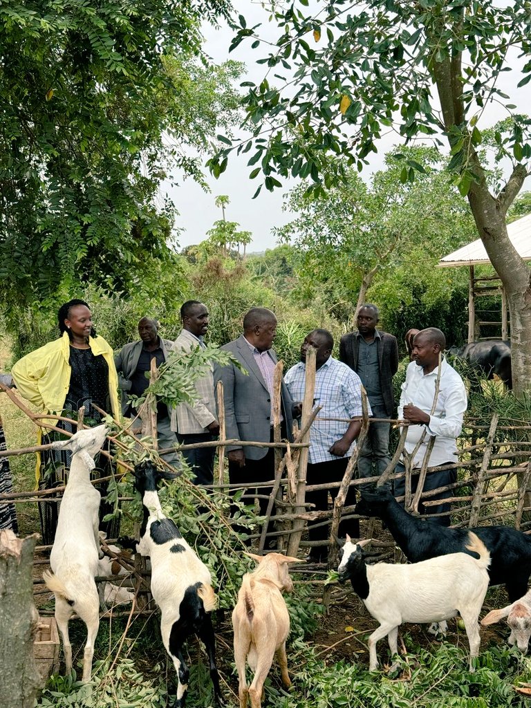Featured image for MP Shartis Musherure Hails PDM for Transforming Mawogola North