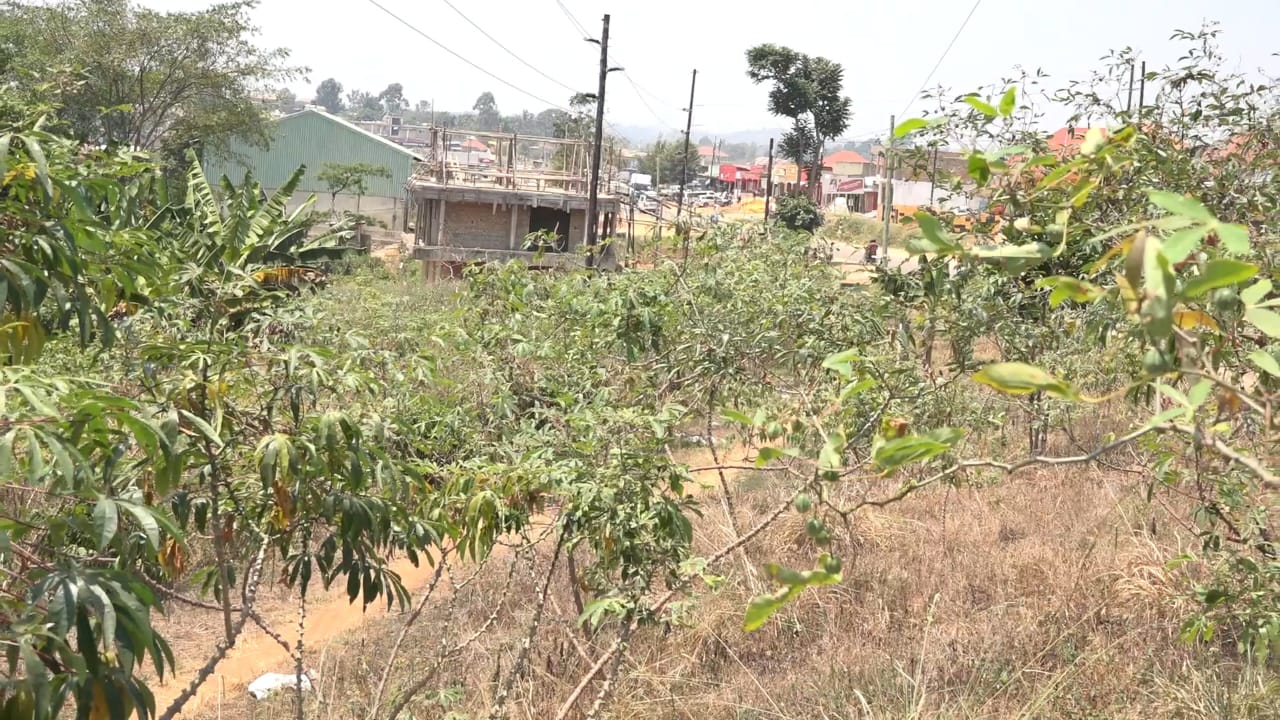 Kyegegwa Leaders, Family Feud Over Disputed Land