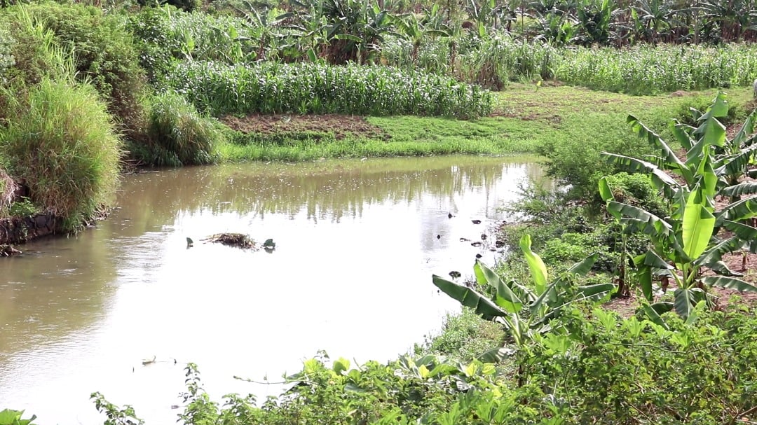 Featured image for Govt Launches ‘Save River Manafwa’ Drive
