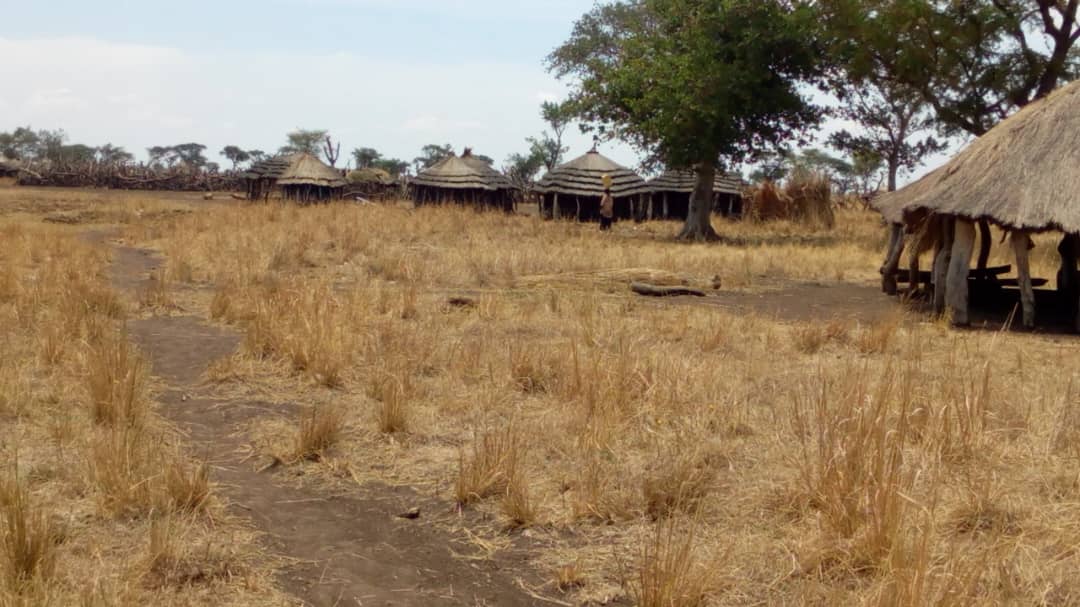 Magoro Residents Petition Vice President Over Disputed Angisa Land