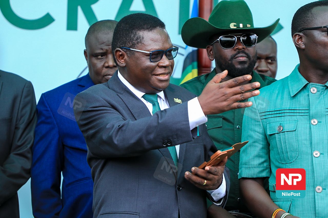 Mao, Mbidde Plant Fresh Pumpkin Seeds