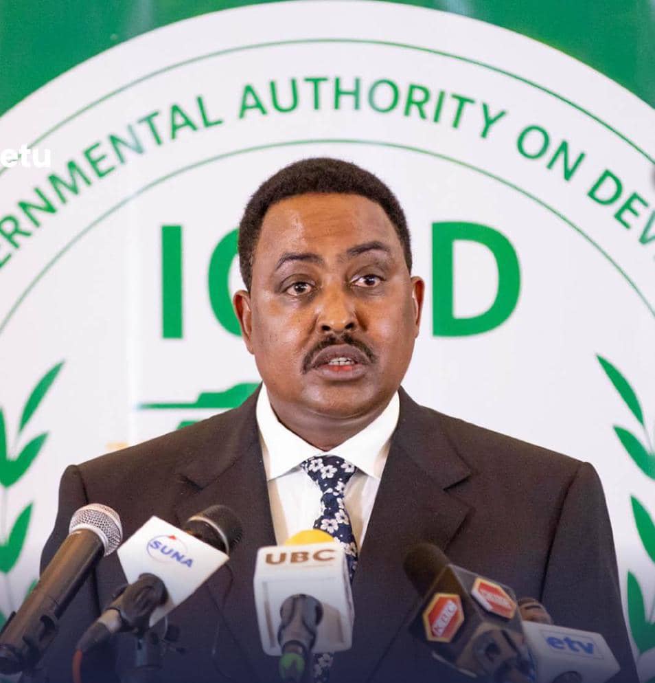 IGAD Chief Condemns Drone Strikes on Port Sudan Civilian Infrastructure
