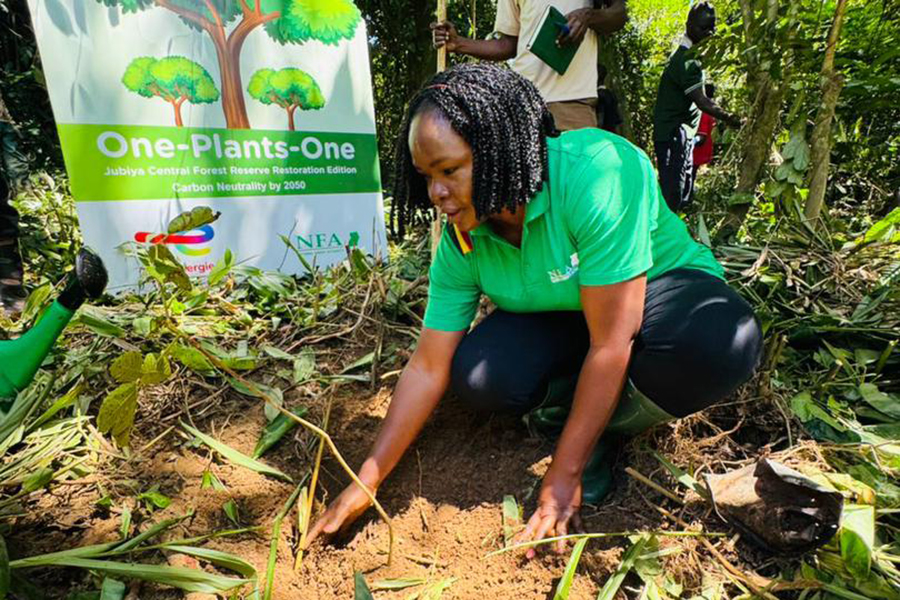 NFA partners with TotalEnergies to restore forest cover