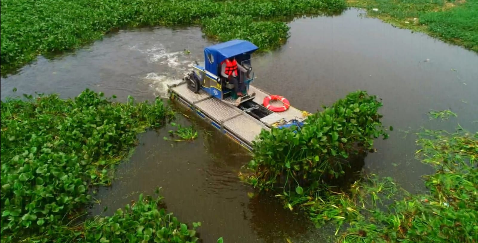 Experts Push for Nature-Based Solutions to Climate Change