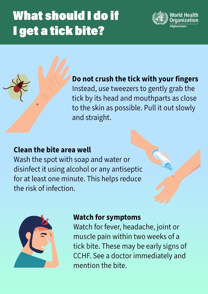 WHO Issues Guidance on Tick Bites Amid Rising Concern Over Crimean-Congo Hemorrhagic Fever