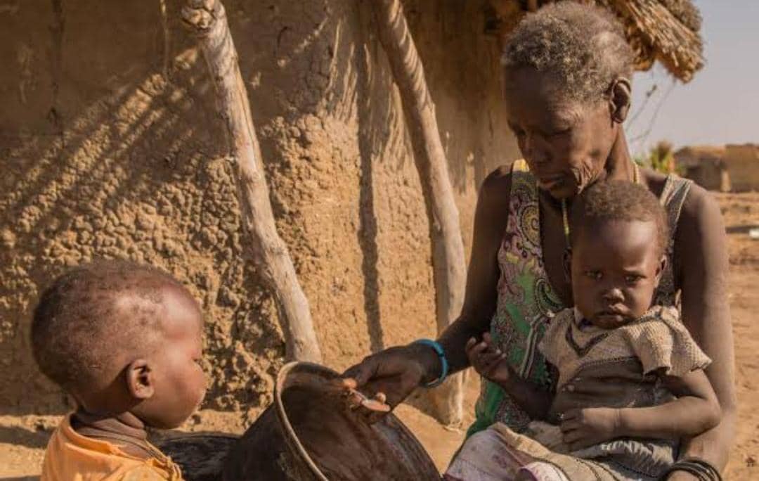 Global Hunger Crisis Deepens as Five Nations Teeter on Brink of Famine — UN Report
