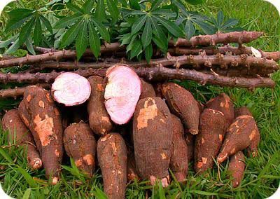 Uganda Diabetes Association Dismisses Claims Linking Staple Foods to Rising Diabetes Cases