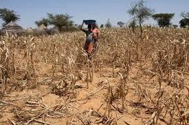 Banks Turn to Green Financing Amid Growing Climate Threats