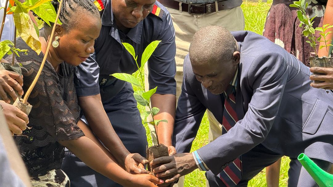 Moroto Hospital Leads Tree-Planting Campaign to Promote Healthier Environment