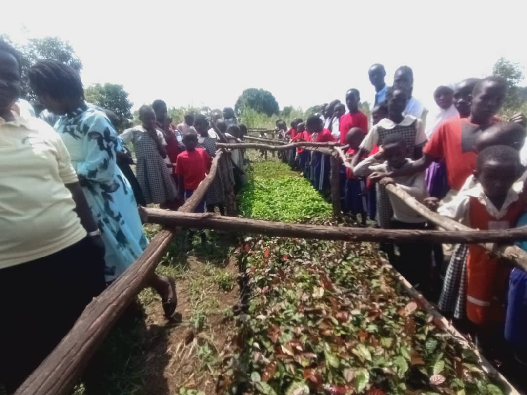 Masindi Educationists Push for Learner-Led Environmental Conservation