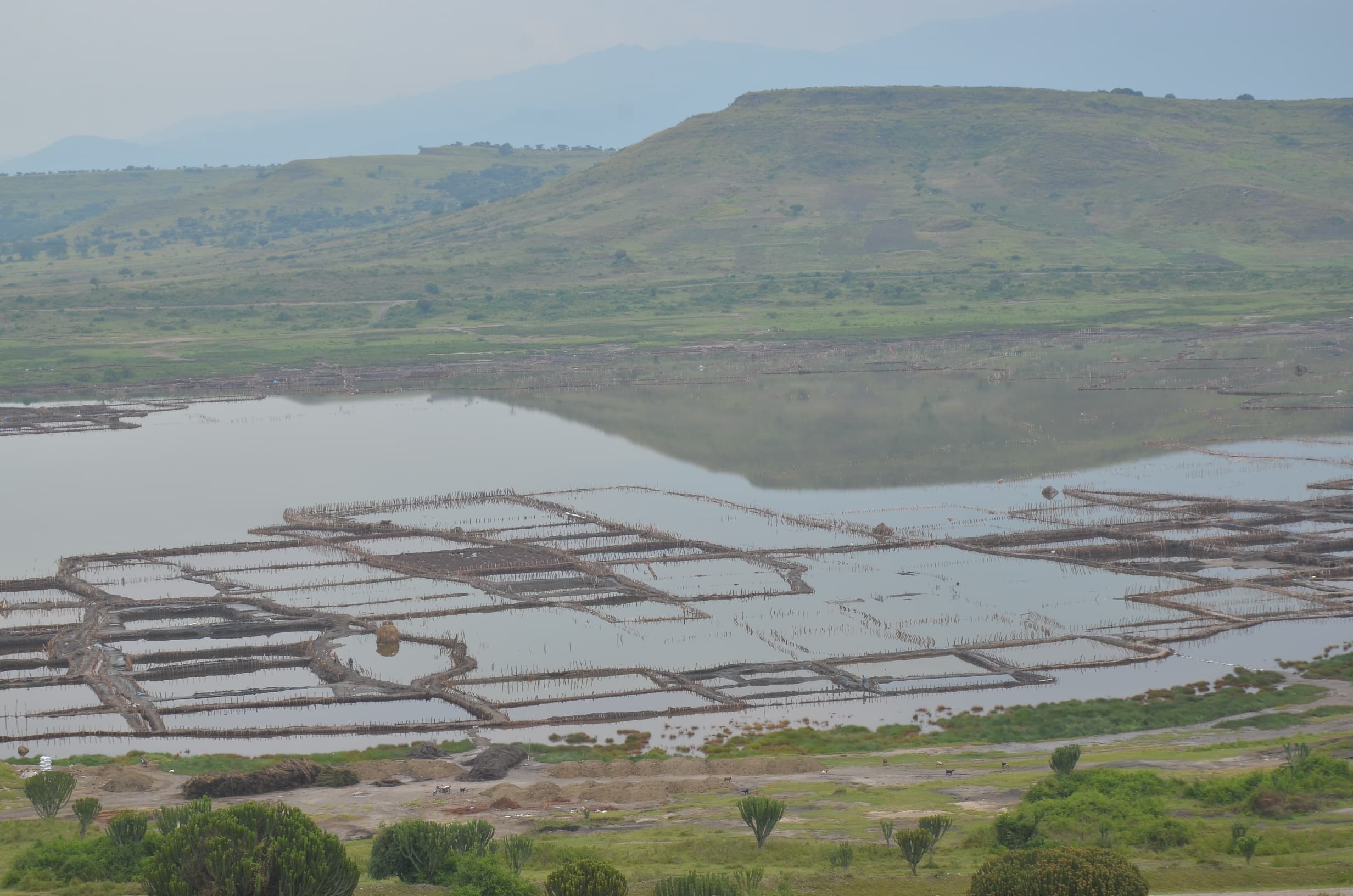 Lake Katwe Salt Industry on Brink of Collapse Amid Rising Floodwaters, Environmental Neglect