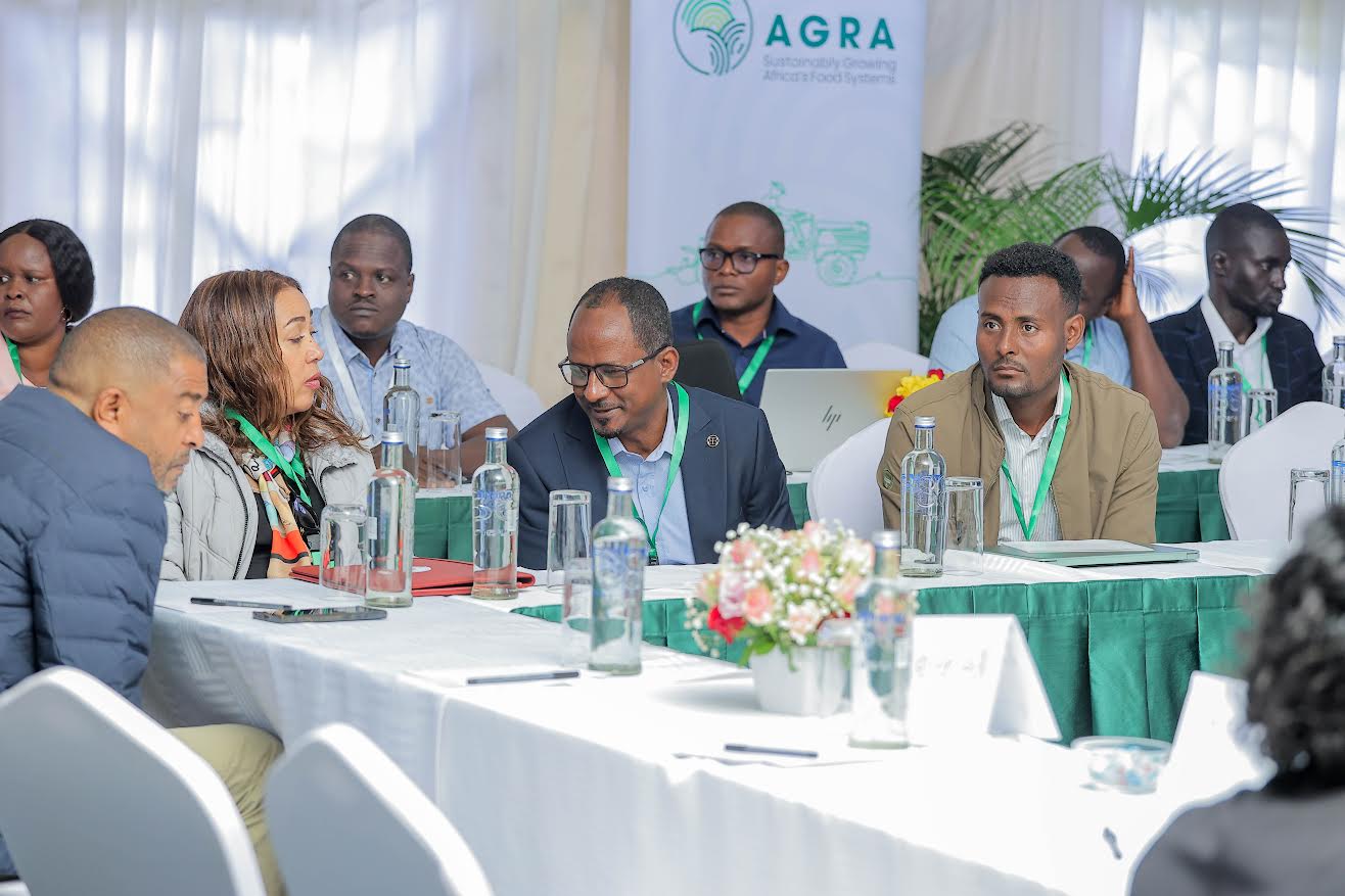 AGRA-Led Partnership Strengthens Early Generation Seed Systems in Africa