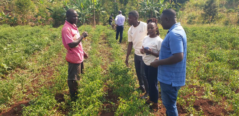 Busoga Leads Uganda’s Chilli Export Drive Under New China Partnership