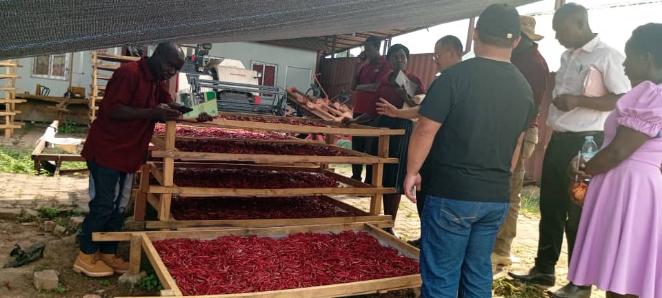 Busoga Chili Farmers Trained in Post-Harvest Handling During Luweero Study Tour